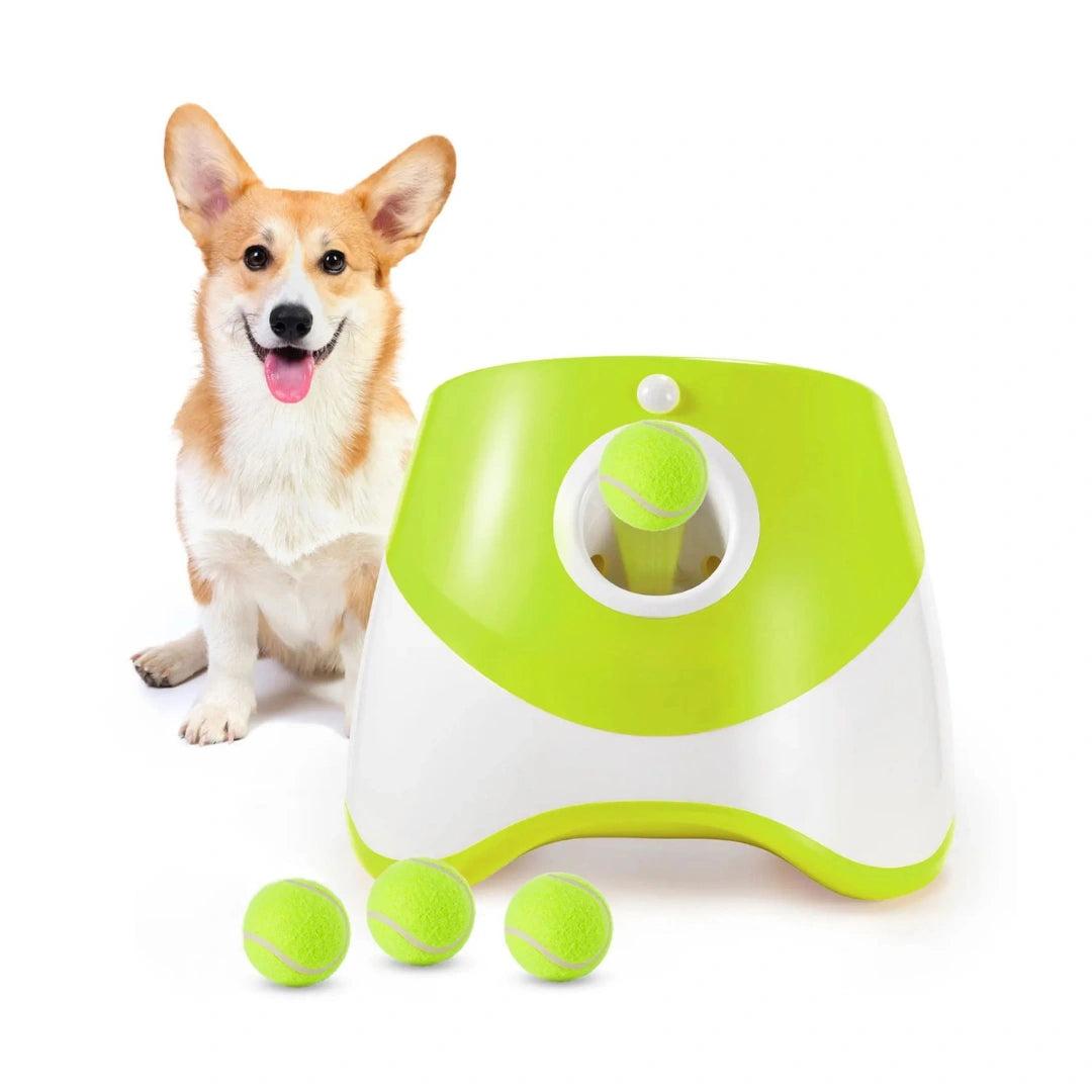 Automatisk Bollkastare för Hund - Djurslottet