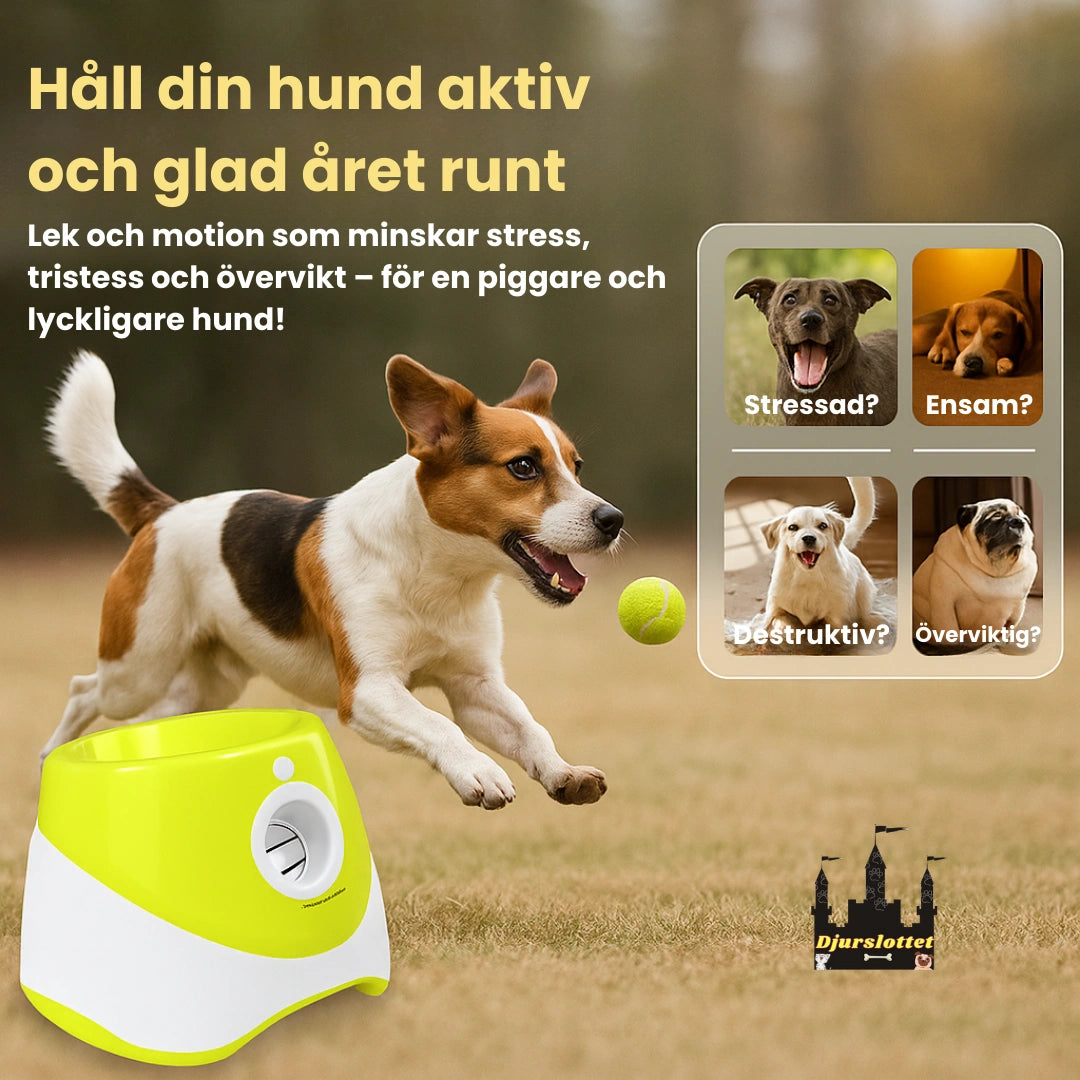 Automatisk Bollkastare för Hund Håll din hund aktiv och glad året runt - Djurslottet