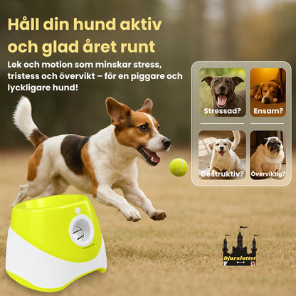 Automatisk Bollkastare för Hund Håll din hund aktiv och glad året runt - Djurslottet
