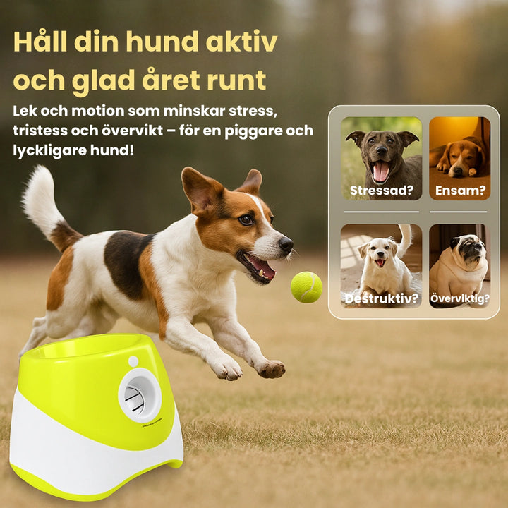 Automatisk Bollkastare för Hund Håll din hund aktiv och glad året runt Djurslottet