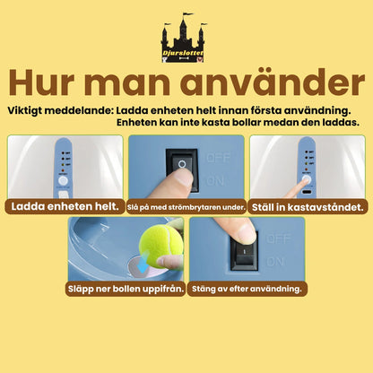 Automatisk Bollkastare för Hund Hur man använder - Djurslottet
