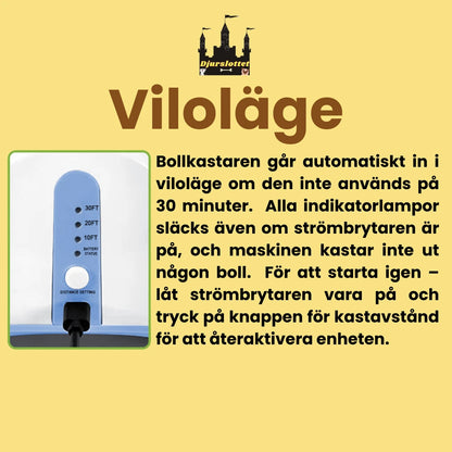Automatisk Bollkastare för Hund Vilotläge - Djurslottet