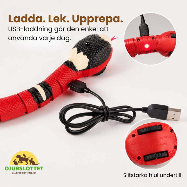 Automatisk Leksakorm för katter Ladda. Lek. Upprepa. - Djurslottet