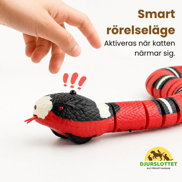 Automatisk Leksakorm för katter Smart rörelseläge - Djurslottet