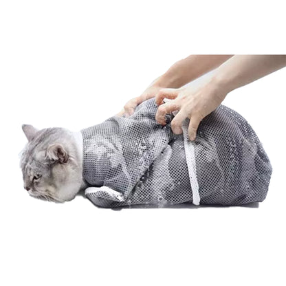 Bekväm katt är glad katt
