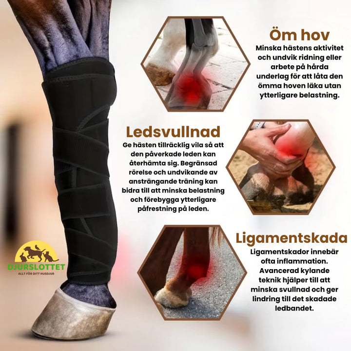 Benskydd för Häst Ledsvullnad - Djurslottet