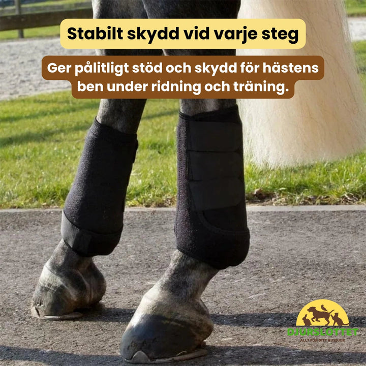 Benskydd för Häst Stabilt skydd vid varje steg - Djurslottet