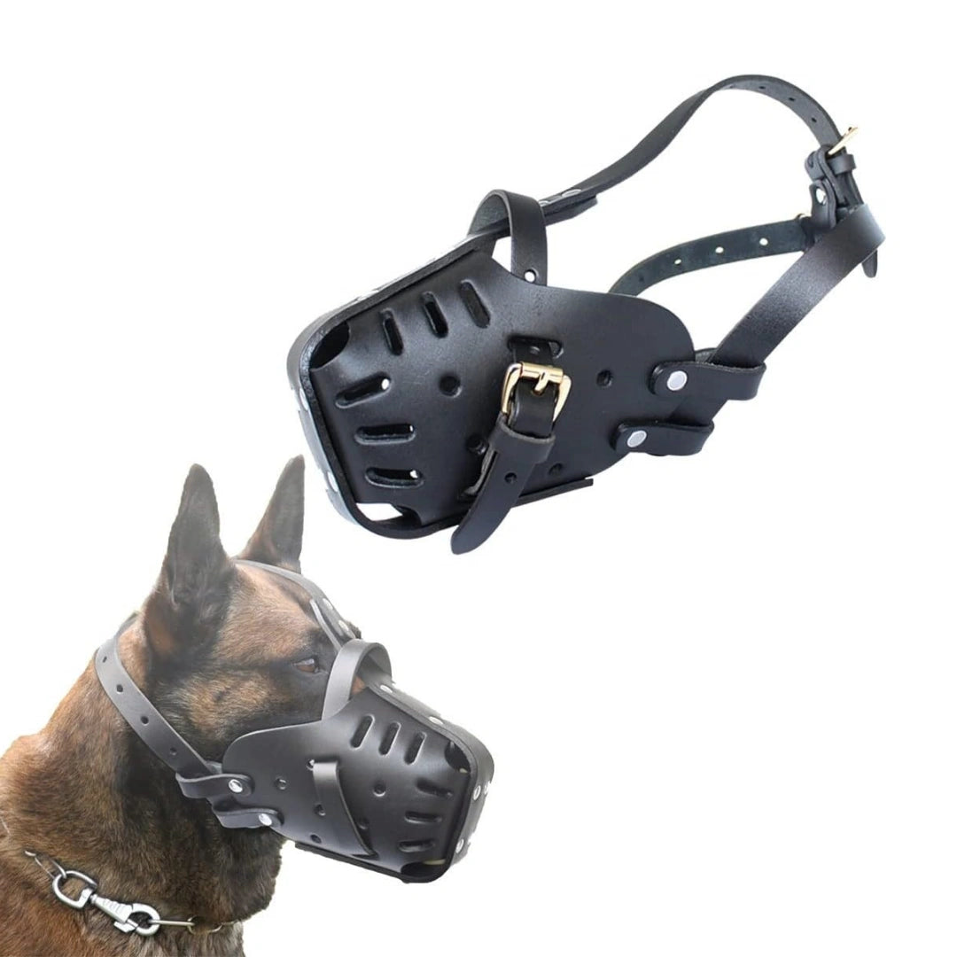 Canimora Munkorg för stora hundar - Djurslottet