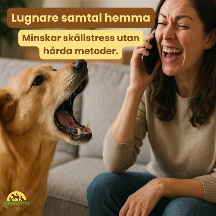 Canimora Munkorg för stora hundar Djurslottet