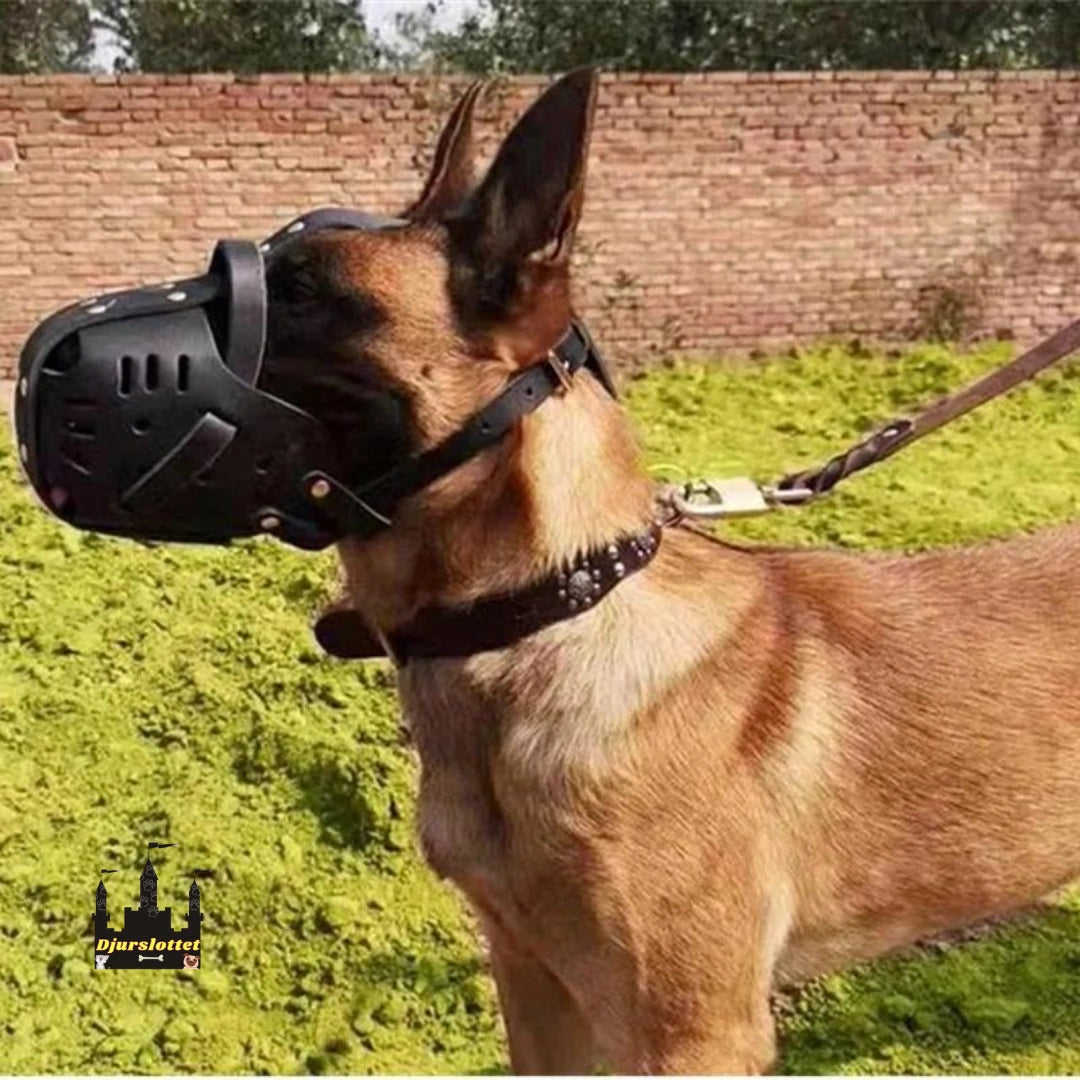 Canimora Munkorg för stora hundar Minskar risken för bett när situationen blir intensiv. - Djurslottet