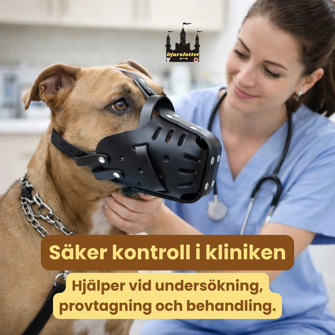 Canimora Munkorg för stora hundar Säker kontroll i kliniken - Djurslottet