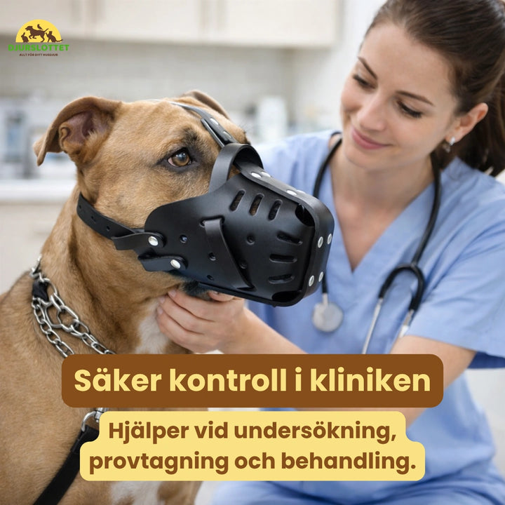 Canimora Munkorg för stora hundar Säker kontroll i kliniken Djurslottet