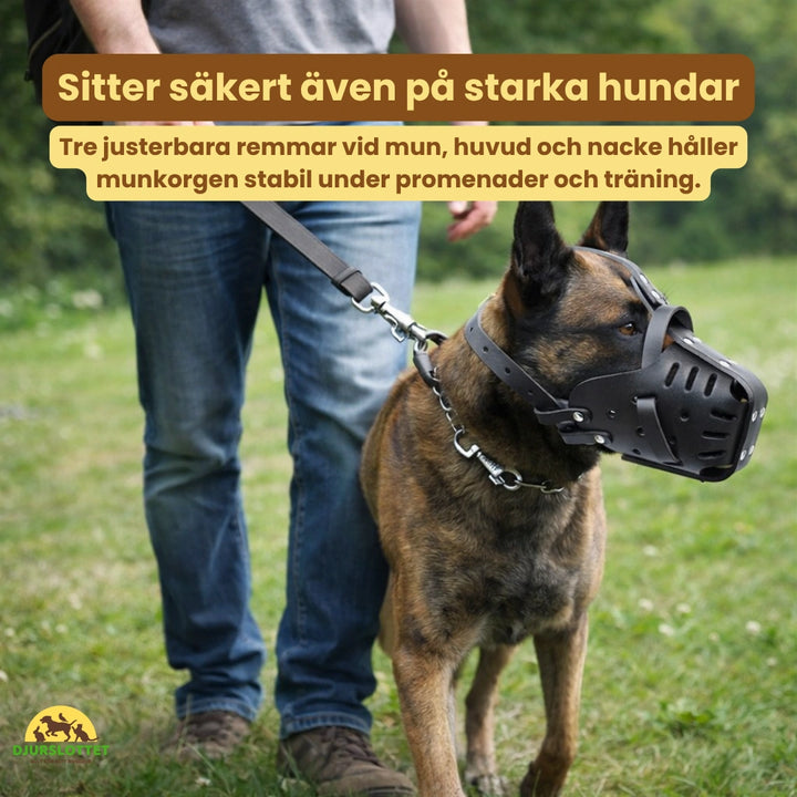 Canimora Munkorg för stora hundar Sitter säkert även på starka hundar Djurslottet