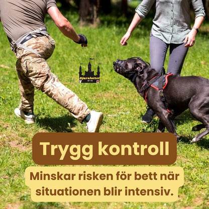 Canimora Munkorg för stora hundar Trygg kontroll - Djurslottet