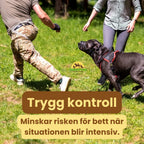 Canimora Munkorg för stora hundar Trygg kontroll Djurslottet