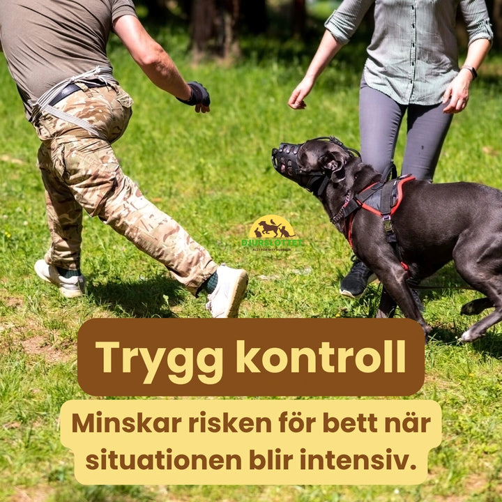 Canimora Munkorg för stora hundar Trygg kontroll Djurslottet