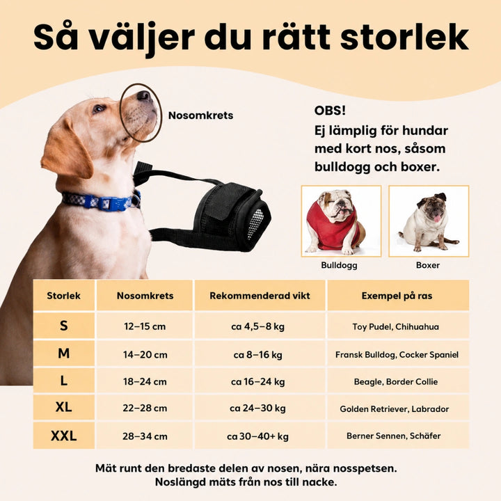 Canimora Munkorg till Hund Storlek - Djurslottet