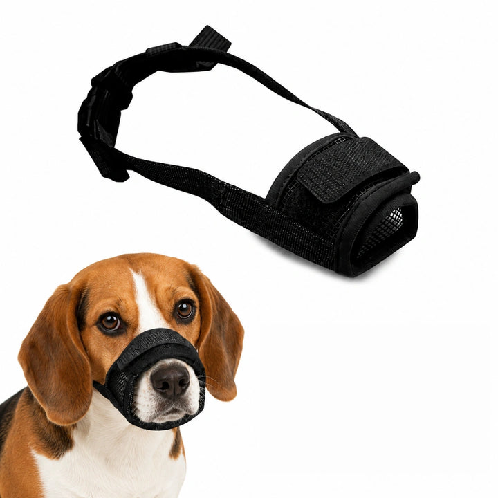 Canimora Munkorg till Hund Storlek L - Djurslottet