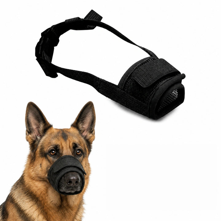 Canimora Munkorg till Hund Storlek XXL - Djurslottet