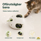 CatChase kattens nyfikenhet - Djurslottet