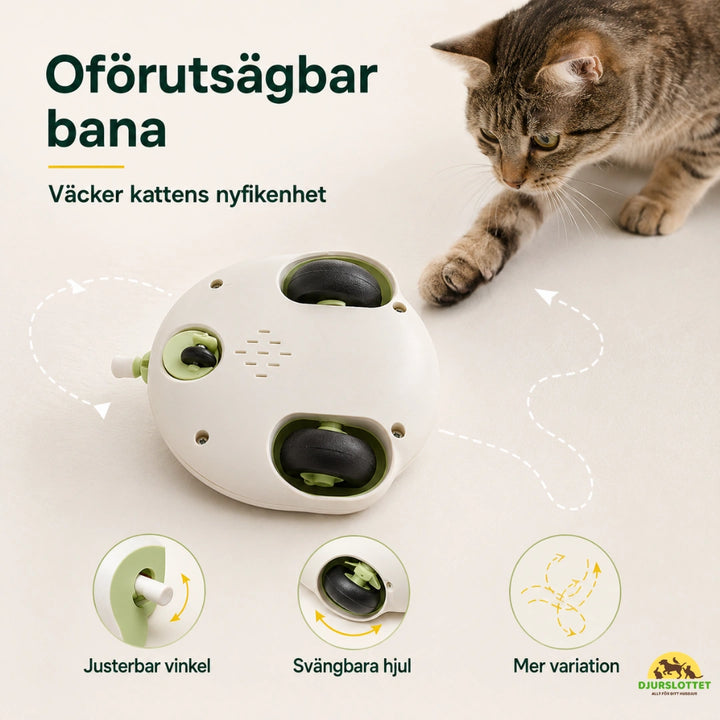 CatChase kattens nyfikenhet - Djurslottet