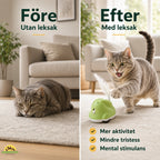 CatChase vs efter - Djurslottet
