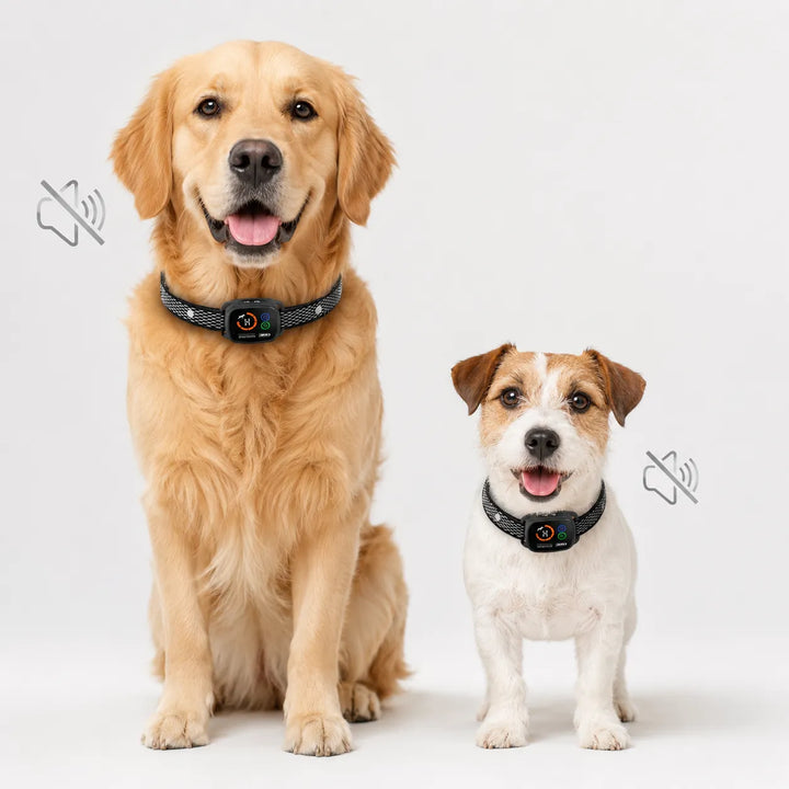 ChewUp Antiskällhalsband för liten och stor hund - Djurslottet