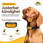 Citronella antiskällhalsband Justerbar känslighet Djurslottet