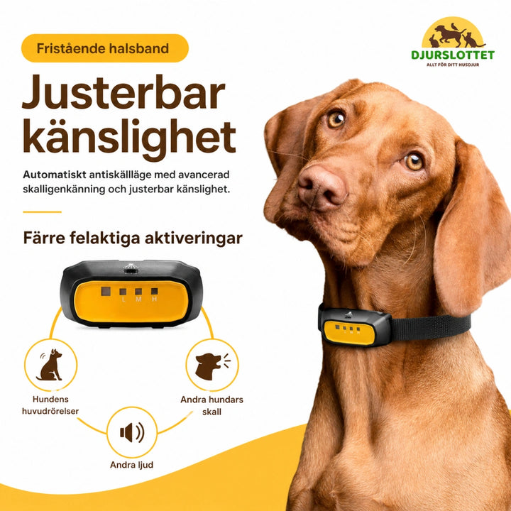 Citronella antiskällhalsband Justerbar känslighet Djurslottet