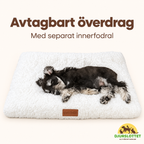 CozyCloud med avtagbart överdrag och separat innerfodral