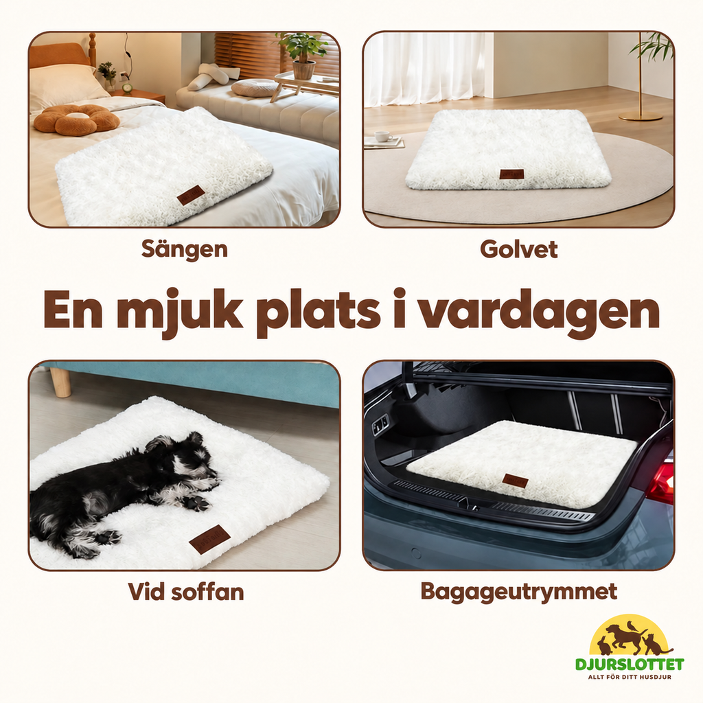 CozyCloud i sängen, på golvet, vid soffan och i bagageutrymmet