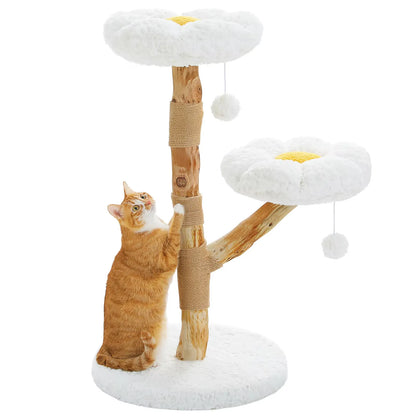 CozyCloud Klösträd i Naturträ