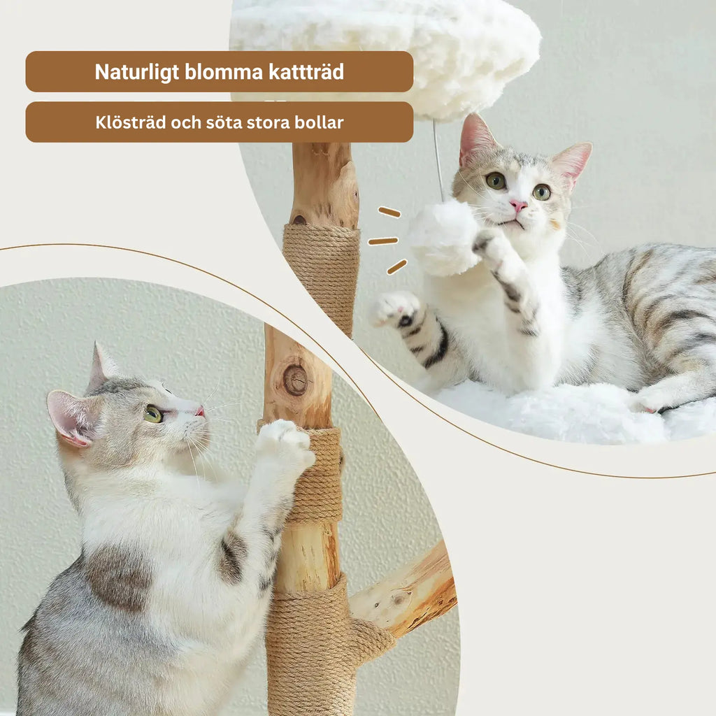 CozyCloud Klösträd i Naturträ