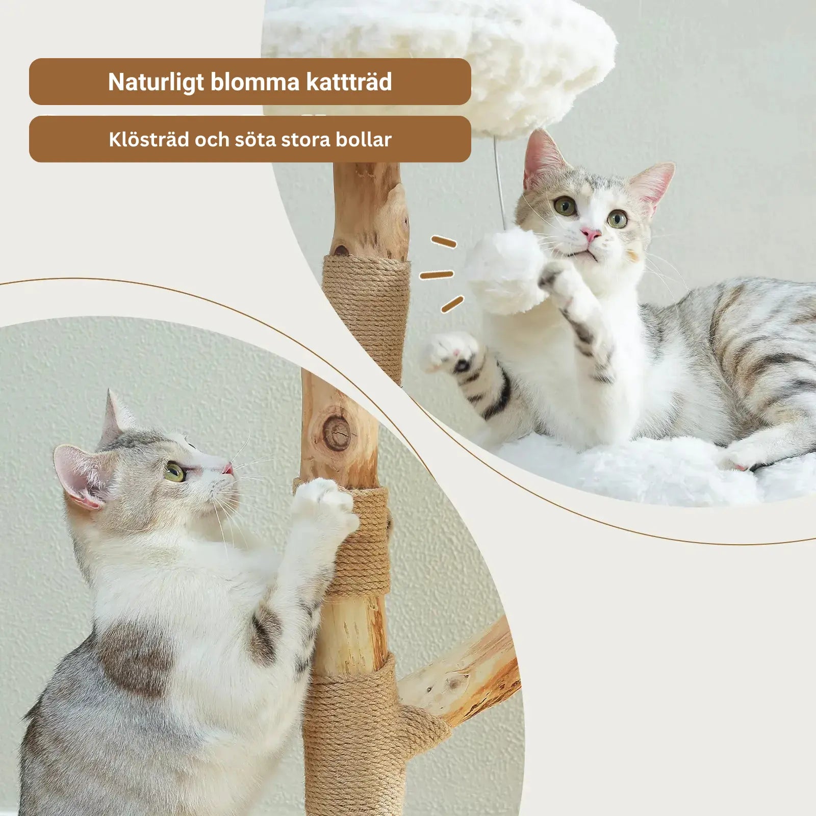 CozyCloud Klösträd i Naturträ