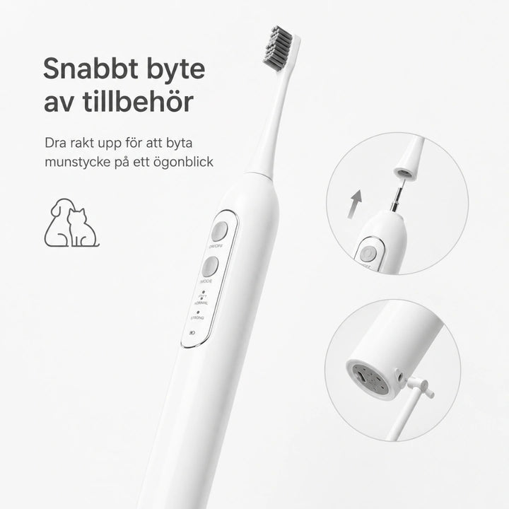 Detixy Elektrisk tandborste för husdjur Laddbar design - Djurslottet