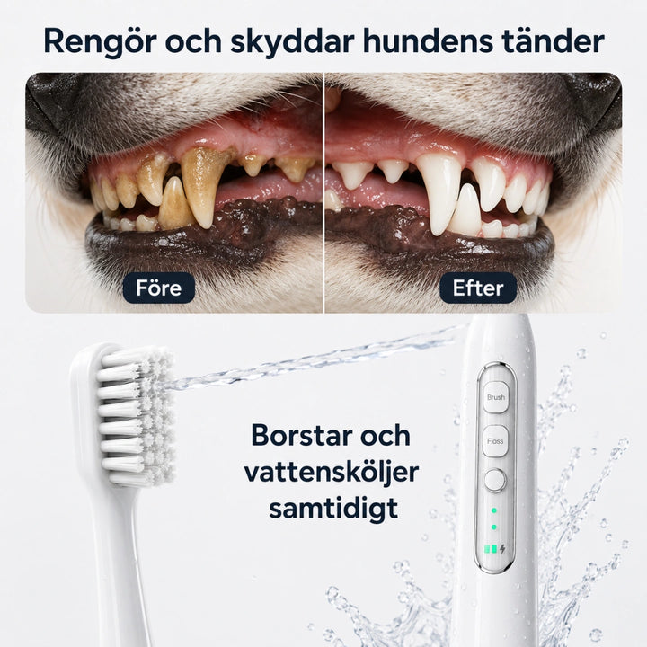 Detixy Elektrisk tandborste för husdjur efter - Djurslottet