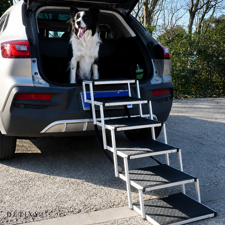Detixy Hopfällbar Hundtrappa - Djurslottet