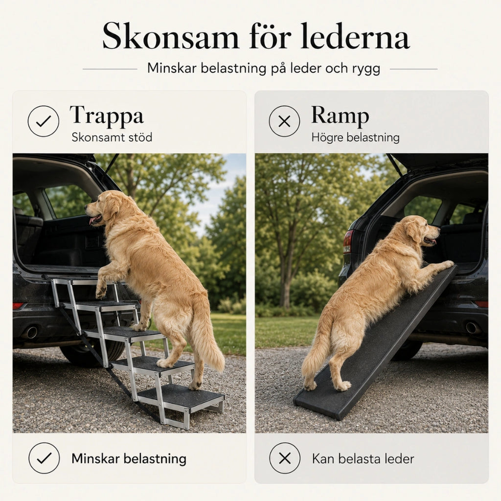 Detixy Hopfällbar Hundtrappa skonsam for lederna - Djurslottet