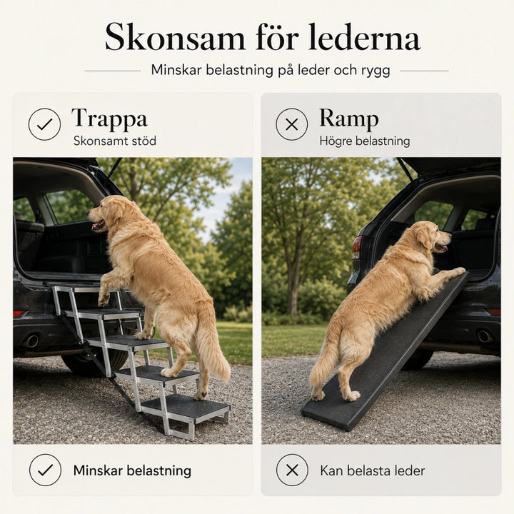 Detixy Hopfällbar Hundtrappa skonsam for lederna - Djurslottet