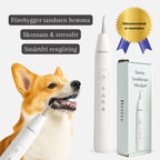 Detixy Tandskrapa Ultraljud Rekommenderad av veterinärer -Djurslottet