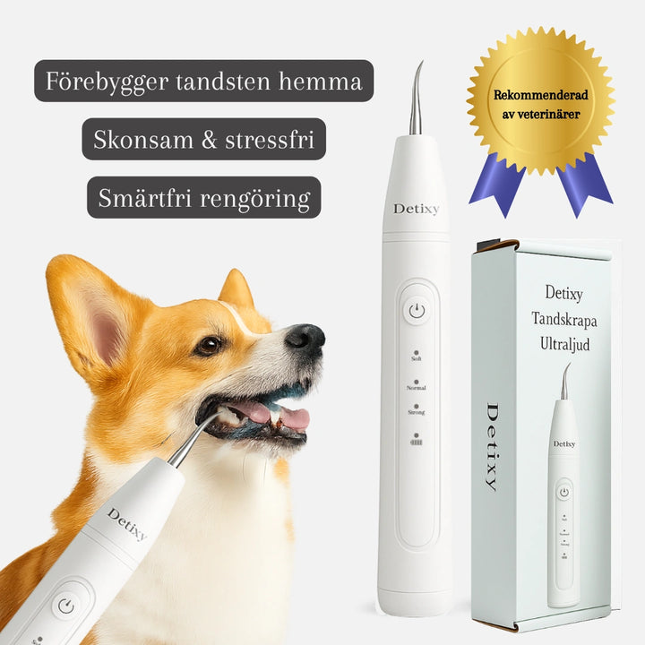 Detixy Tandskrapa Ultraljud Rekommenderad av veterinärer -Djurslottet