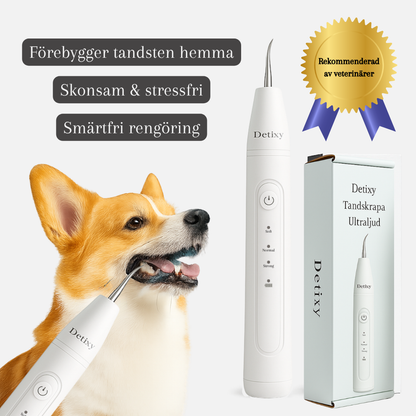 Detixy Tandskrapa Ultraljud Rekommenderad av veterinärer - Djurslottet