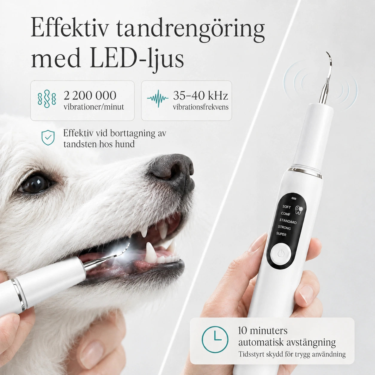 Detixy Ultraljuds Tandskrapa Pro effektiv plackborttagning - Djurslottet