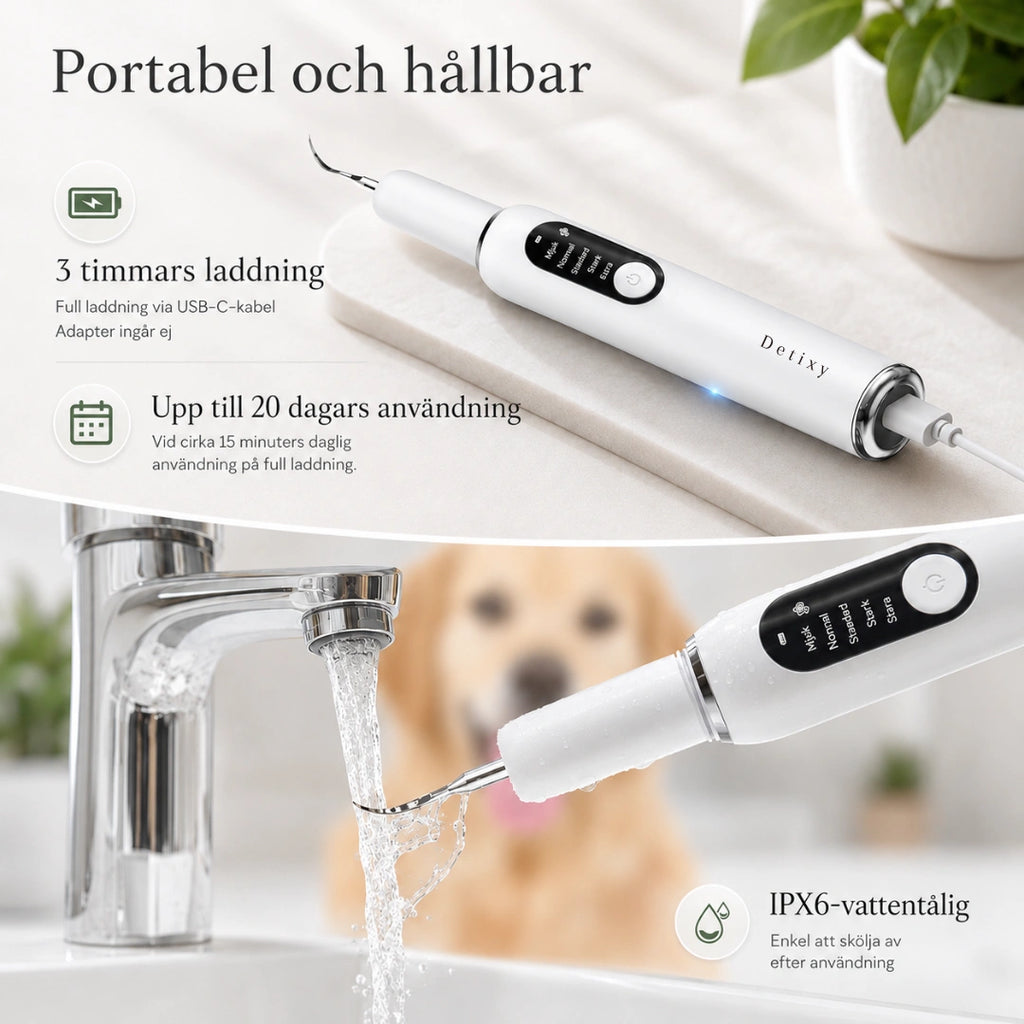 Detixy Ultraljuds Tandskrapa Pro portabel Type-C - Djurslottet