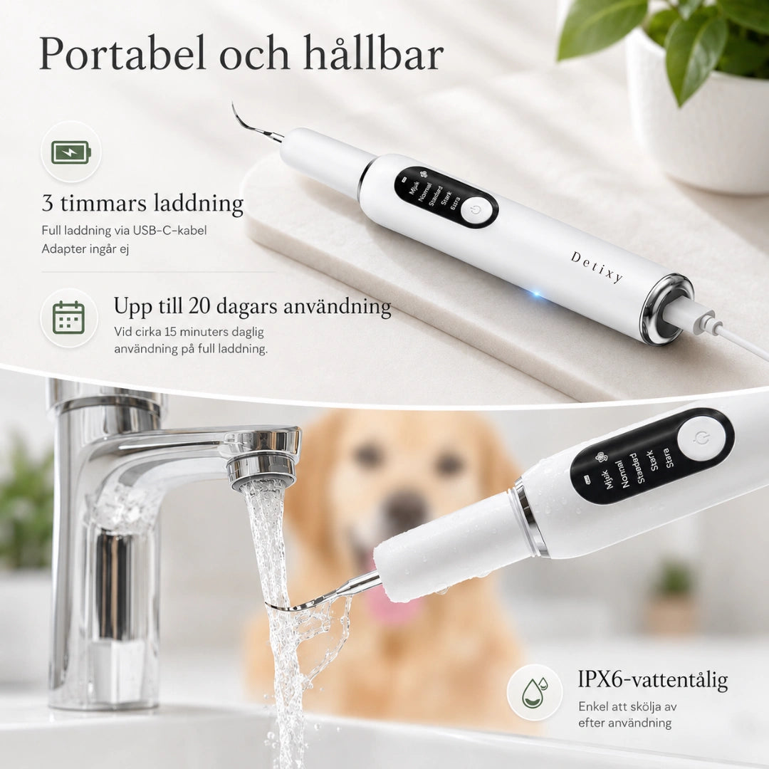 Detixy Ultraljuds Tandskrapa Pro portabel Type-C - Djurslottet