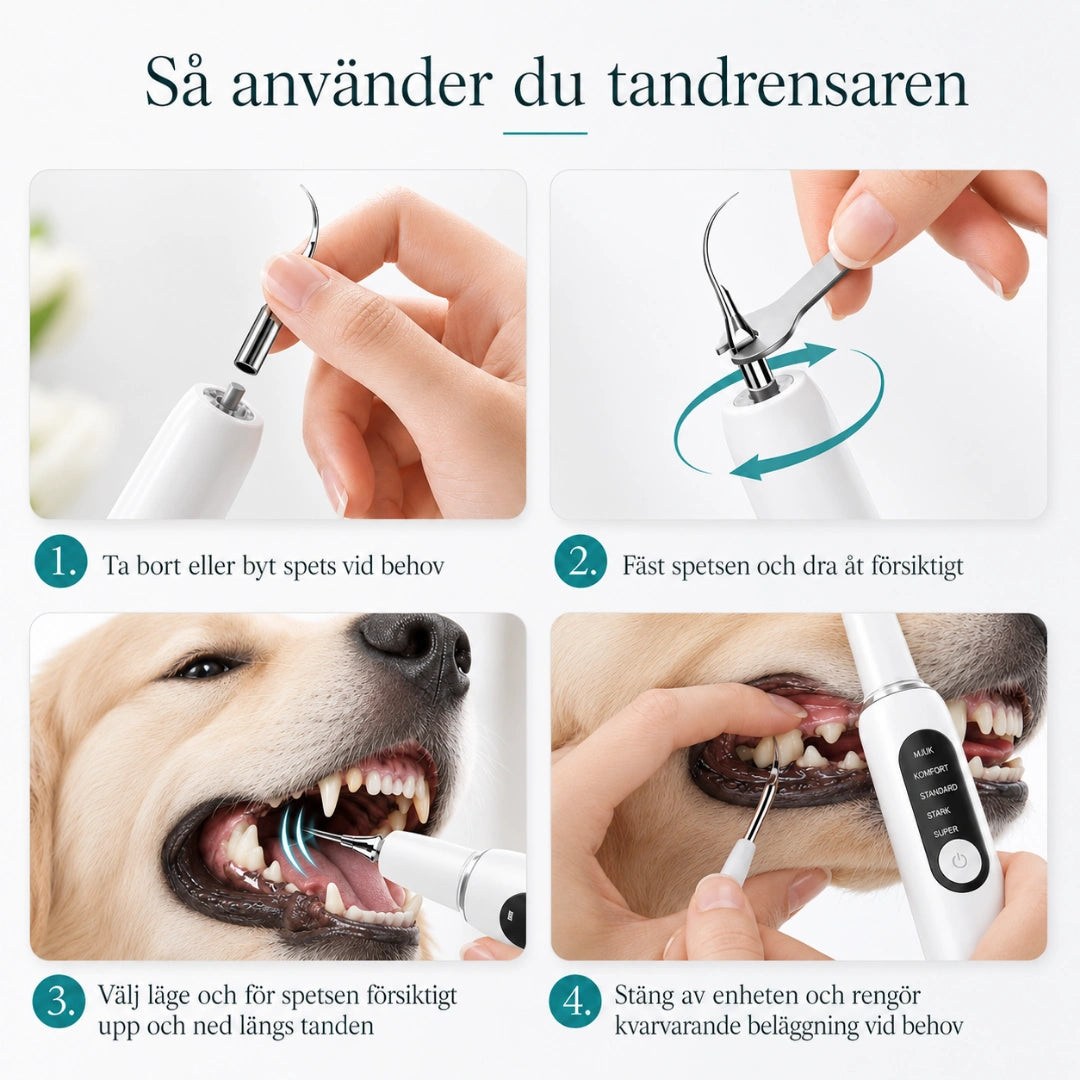 Detixy Ultraljuds Tandskrapa Pro så använder du - Djurslottet