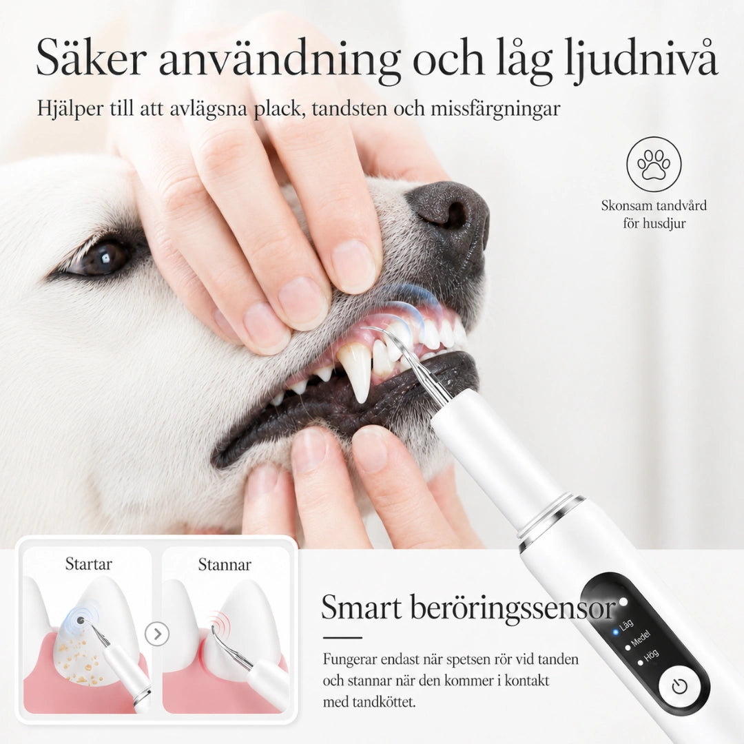 Detixy Ultraljuds Tandskrapa Pro säker användning hund katt - Djurslottet