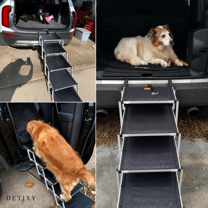 Detixy Hopfällbar Hundtrappa - Djurslottet