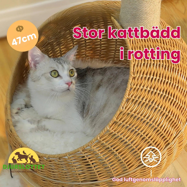 Dinosaurieformat Klösträd Stor kattbädd i rotting - Djurslottet