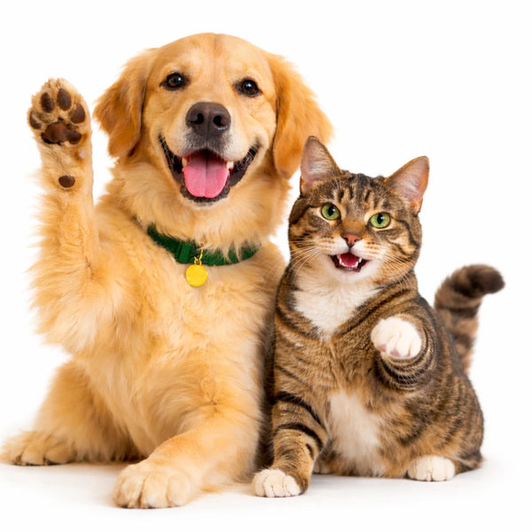 Djurslottets kundklubb